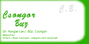 csongor buz business card