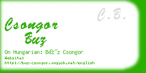 csongor buz business card